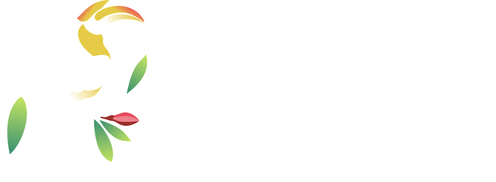 Institute Of Chin Affairs Inc